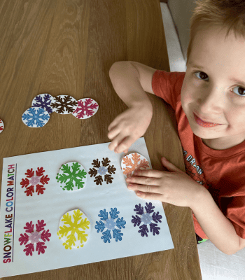 color matching for preschoolers