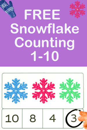 Snowflake Worksheet