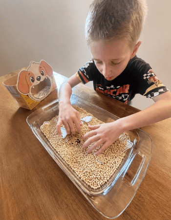 sight word feed the dog activity 